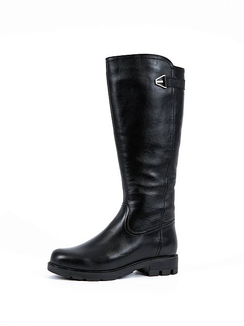 F1F2 HN430-02U08 Сапоги женские черный Francesco Donni 