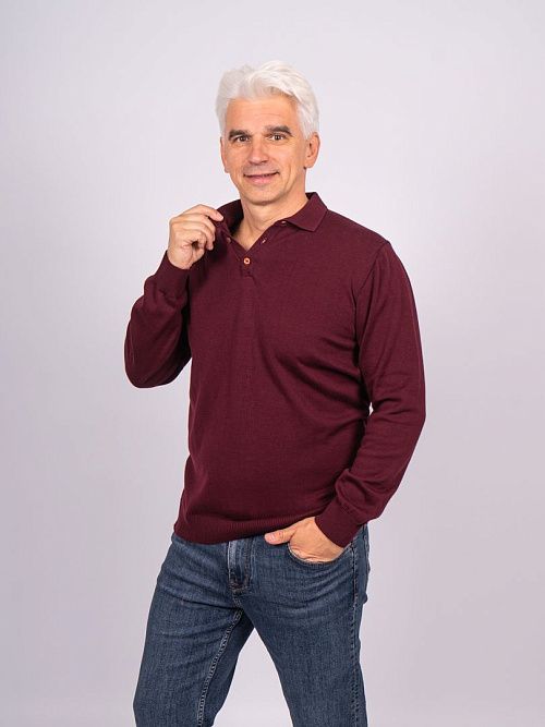 823-0605.O019.Y001.L.P0581 Поло мужское бордовый LUXOR 
