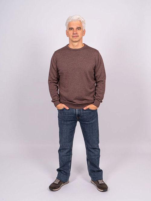 823-0608.O019.Y001.L.C0291 Джемпер мужской коричневый LUXOR 