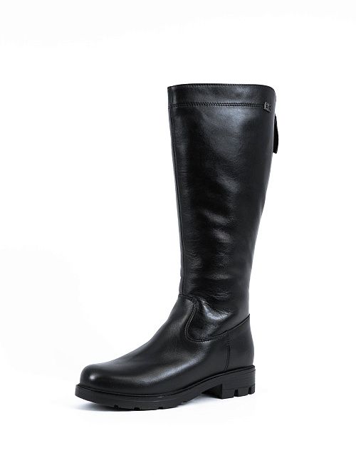 F1F2 HN015-02W08 Сапоги женские черный Francesco Donni 