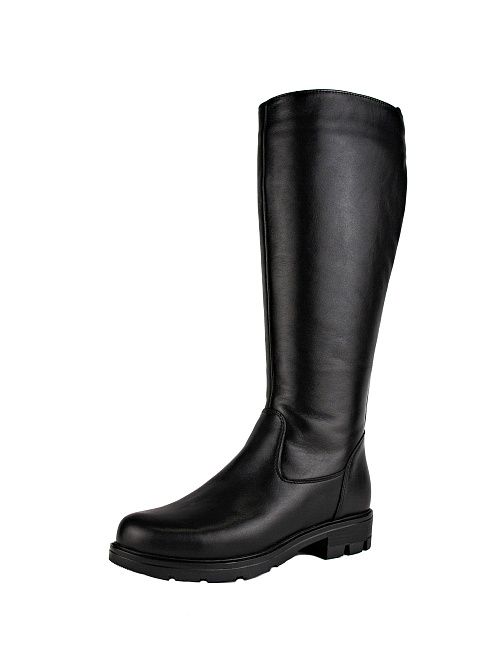 F1F2 HN636-02U08 Сапоги женские черный Francesco Donni 