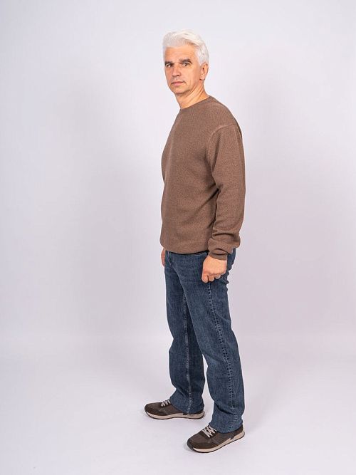 823-0752.O019.Y001.L.C0271 Джемпер мужской коричневый LUXOR 