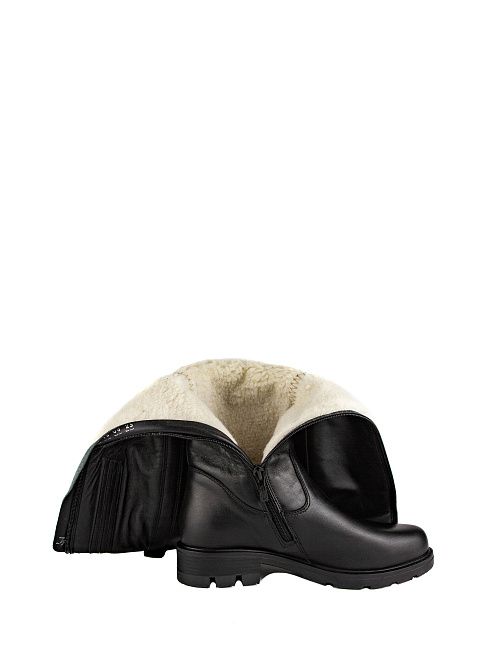 F1F2 HN636-02U08 Сапоги женские черный Francesco Donni 