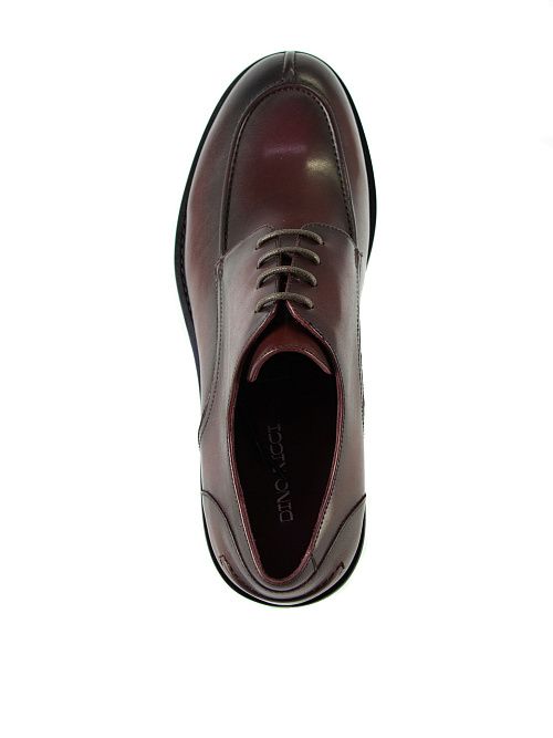 DC120-44-03-20 Туфли мужские DINO RICCI 